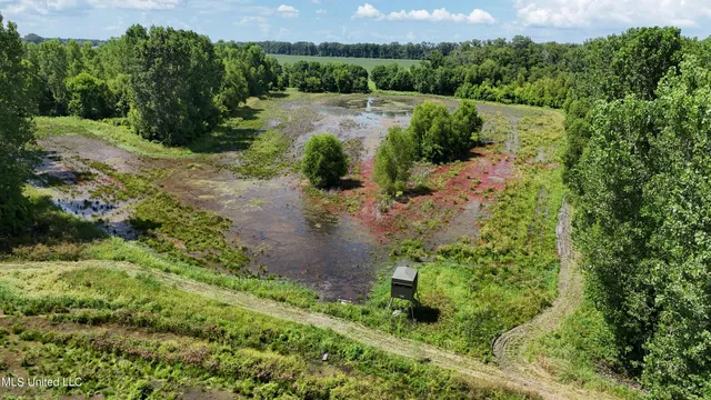 $595,000 | 132 Acres Mol Redwood Ms, Redwood, MS 39156