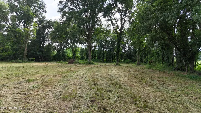 $595,000 | 132 Acres Mol Redwood Ms, Redwood, MS 39156