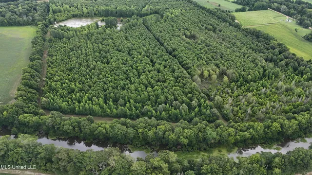 $595,000 | 132 Acres Mol Redwood Ms, Redwood, MS 39156