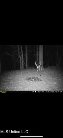 $595,000 | 132 Acres Mol Redwood Ms, Redwood, MS 39156