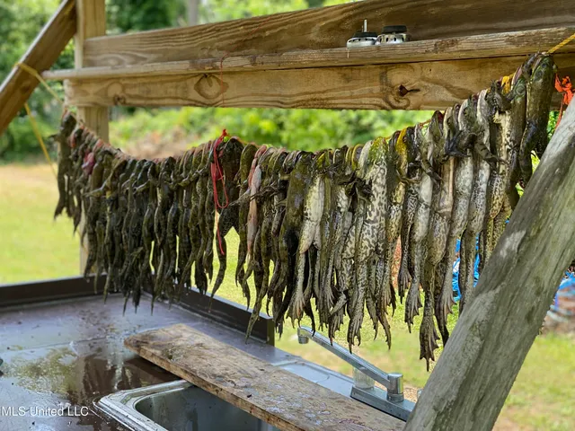 $595,000 | 132 Acres Mol Redwood Ms, Redwood, MS 39156