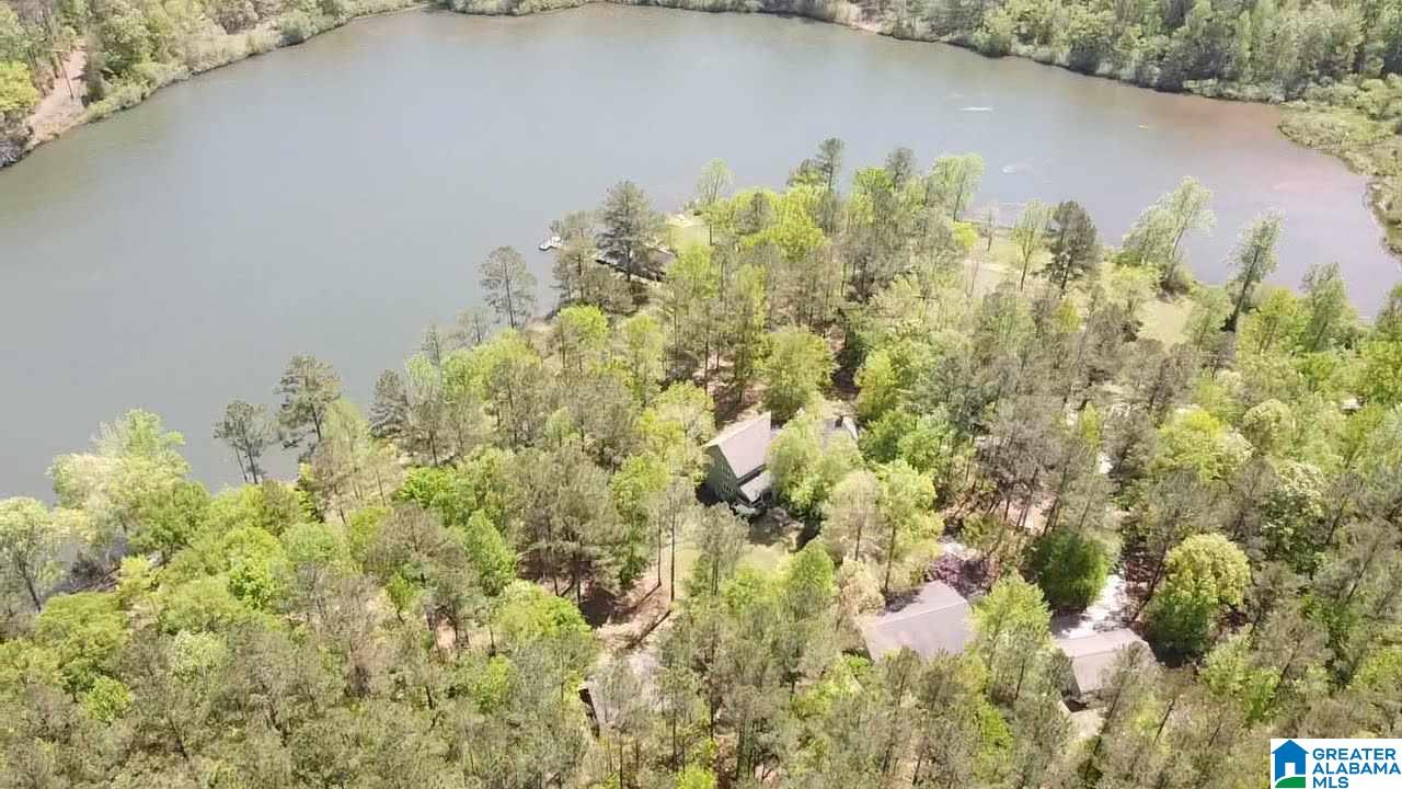 3400 Idaho Road Ashland, AL 36251 - Photo 6 of 41