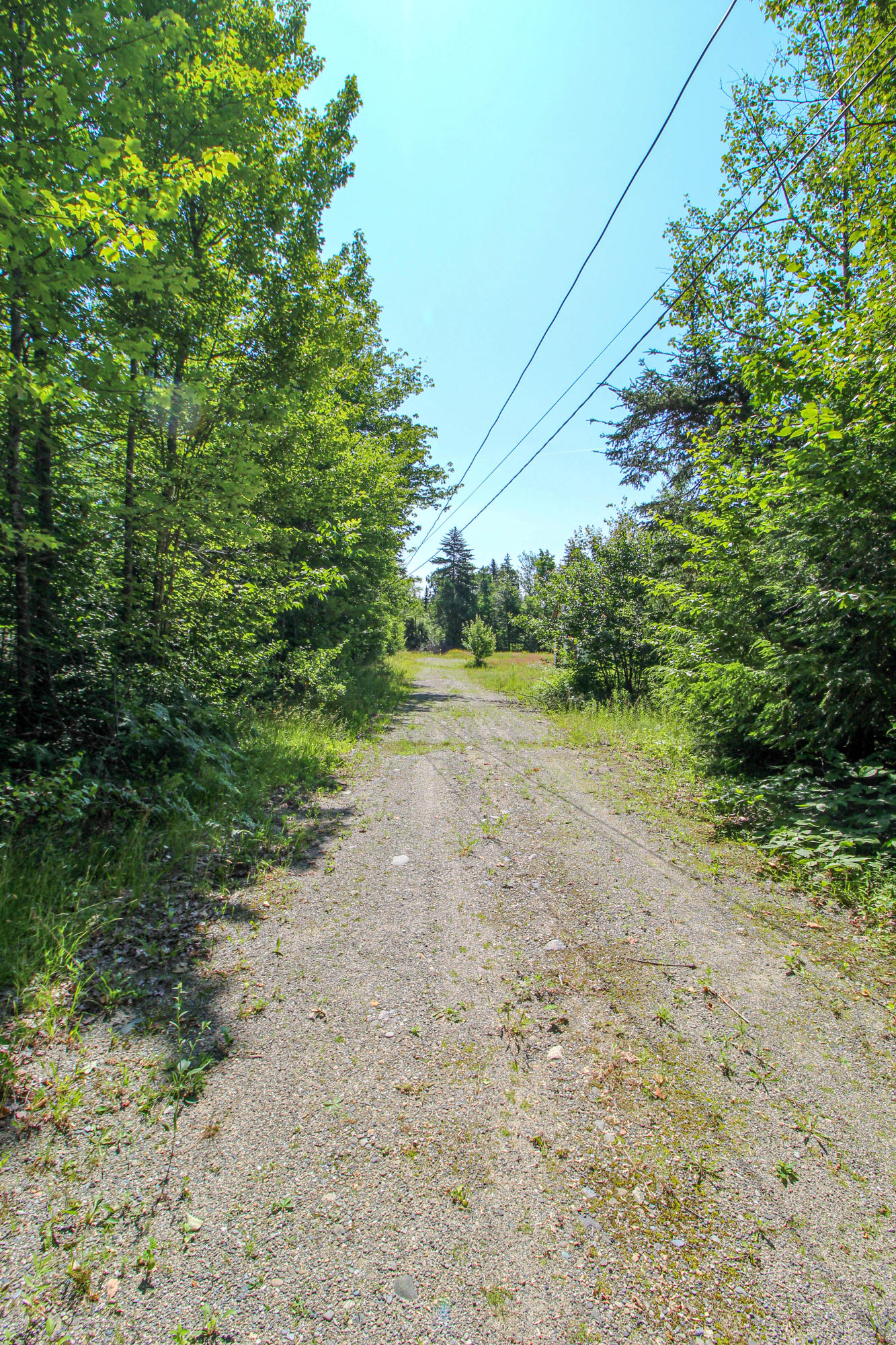 368 Phinney Farm Road Lincoln, ME 04457 - Photo 2 of 20 Driveway
