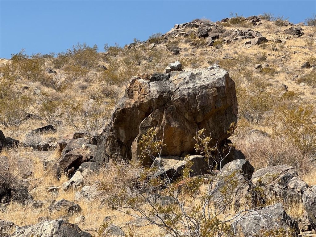 0 Plaina Road Apple Valley, CA 92307 - Photo 14 of 15 a view of a yard with a tree