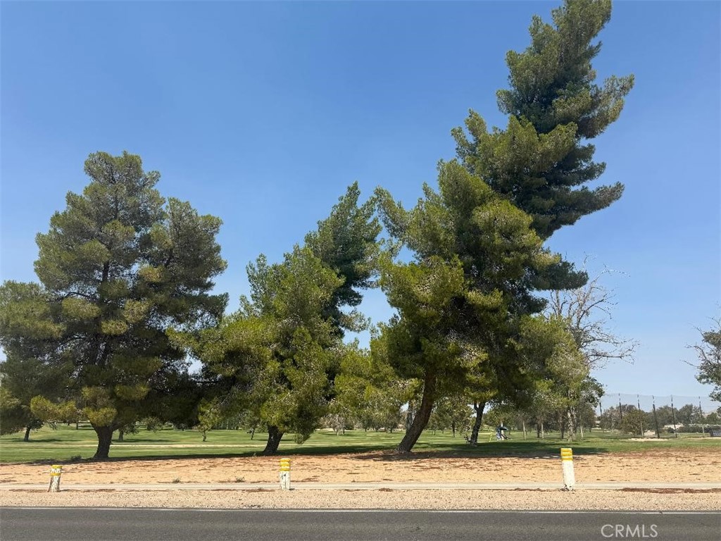 0 Plaina Road Apple Valley, CA 92307 - Photo 15 of 15 a picture of a yard