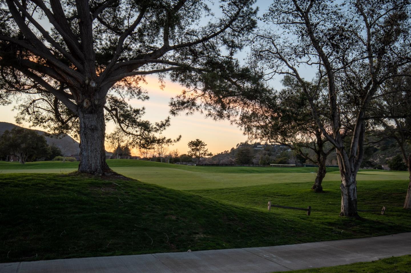 a view of a grassy field with trees