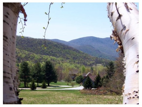 High Meadow Way Danby, VT 05739 - Photo 1 of 1 Gallery Image 1