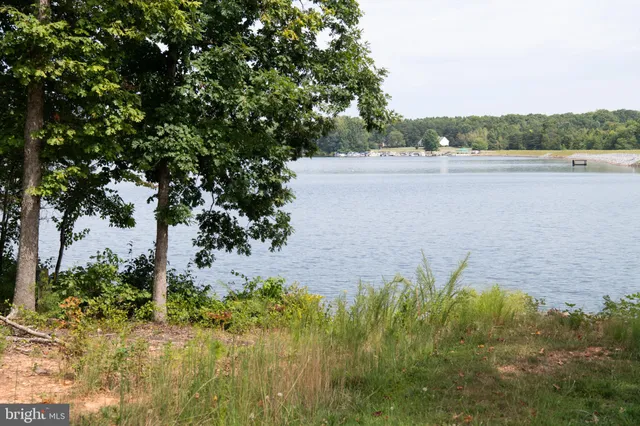 a view of field with tress in the background