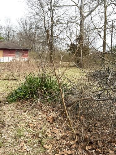 3319 North German Church Road Indianapolis, IN 46235 - Photo 5 of 11