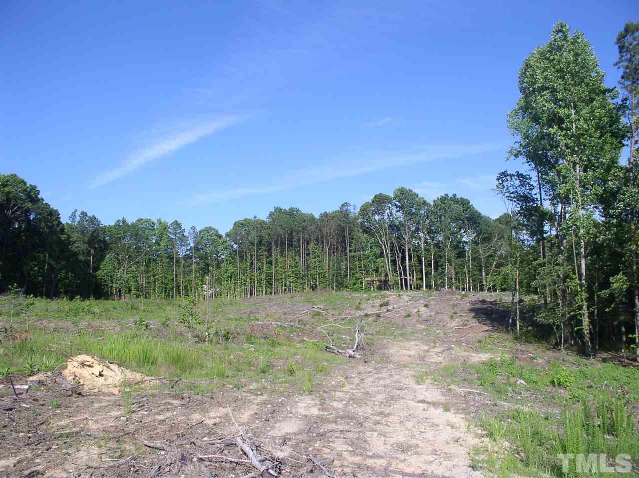 0 Community House Road Henderson, NC 27537 - Photo 12 of 15 a view of outdoor space with green field and trees