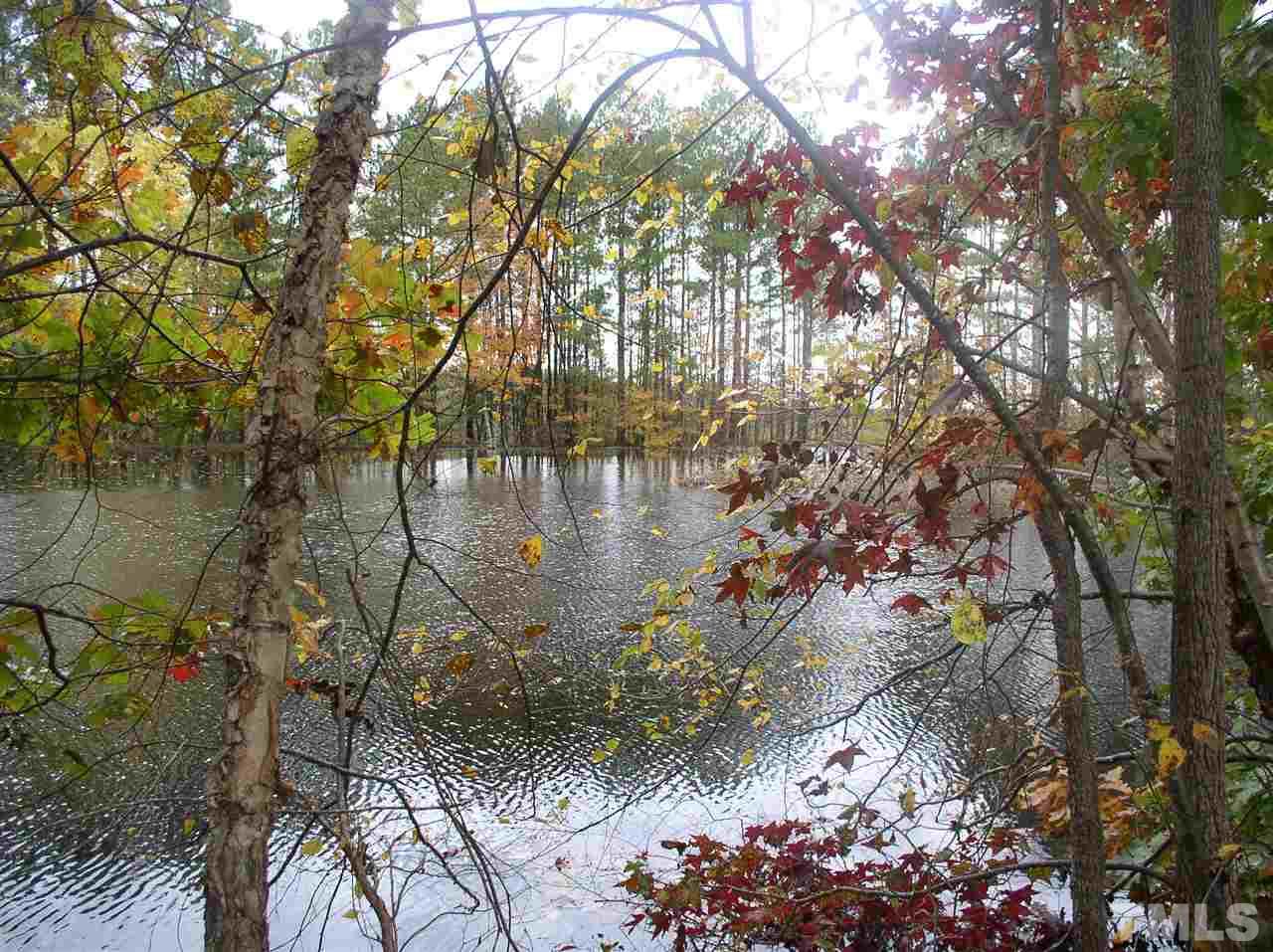 0 Community House Road Henderson, NC 27537 - Photo 14 of 15 a view of a lake with a tree
