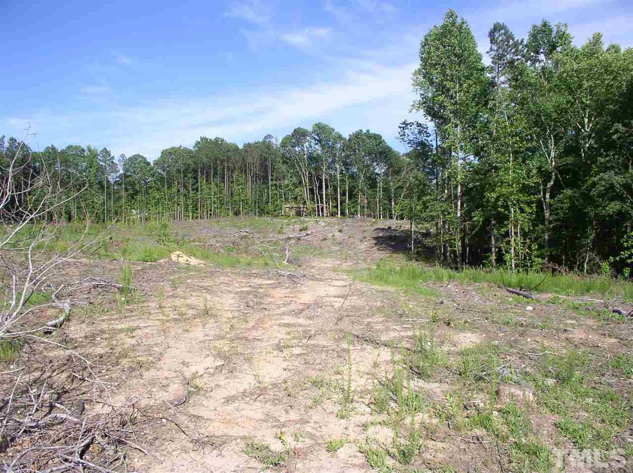 0 Community House Road Henderson, NC 27537 - Photo 4 of 15 a view of a yard with a tree