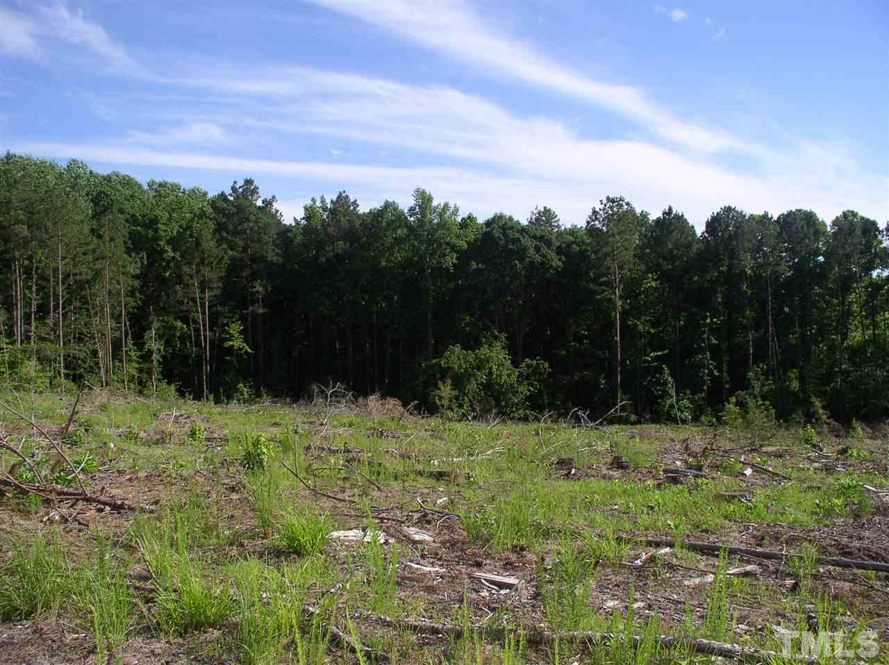 0 Community House Road Henderson, NC 27537 - Photo 5 of 15 a view of a yard with a tree