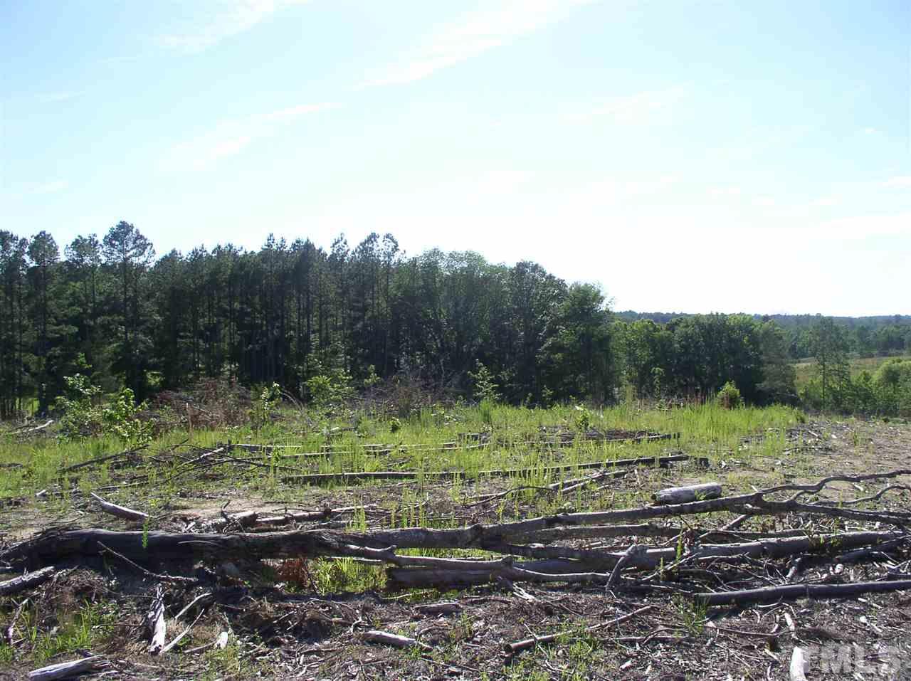 0 Community House Road Henderson, NC 27537 - Photo 6 of 15 a view of a grassy field with trees