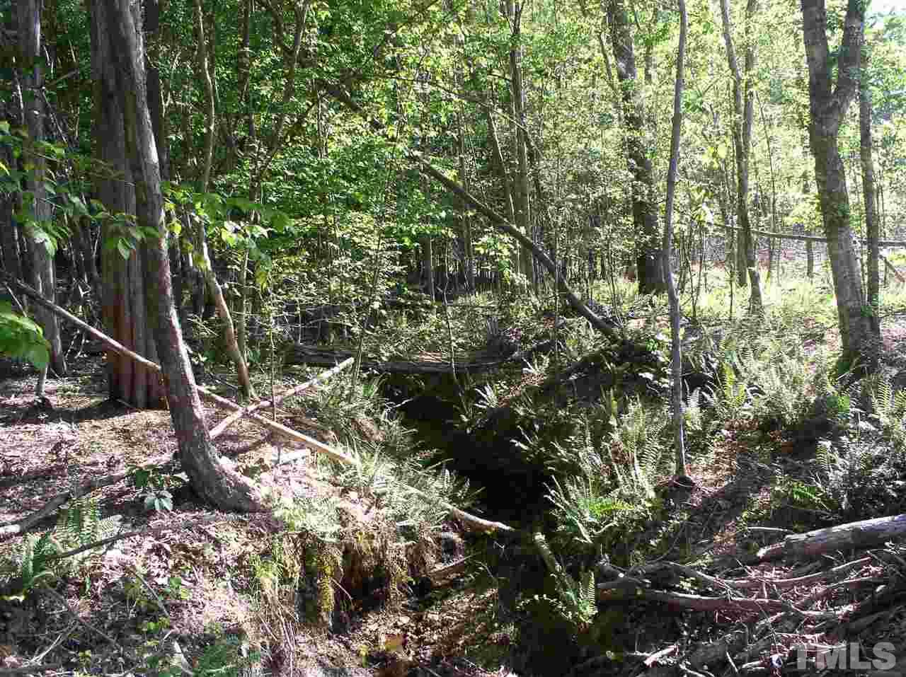 0 Community House Road Henderson, NC 27537 - Photo 7 of 15 a view of forest