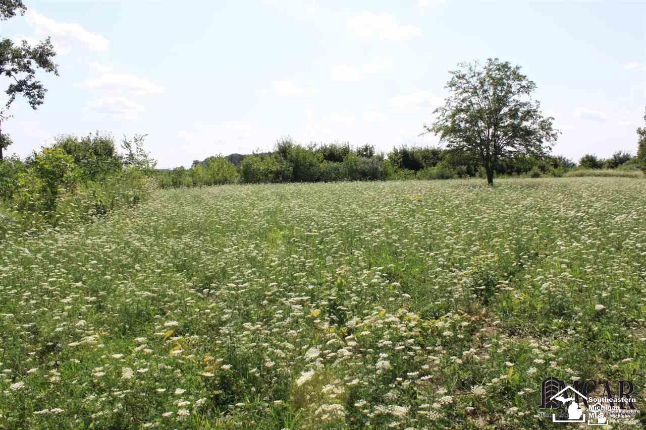 0 Finzel Road Carleton, MI 48117 - Photo 2 of 7