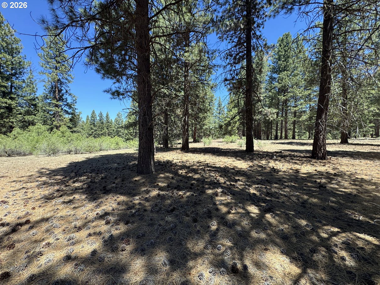 Friendship Drive, Unit 15 Chiloquin, OR 97624 - Photo 26 of 41