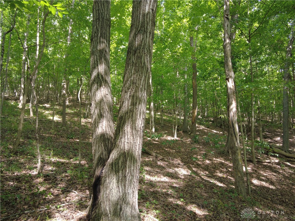 41 State Rte 41 Peebles, OH 45660 - Photo 7 of 20