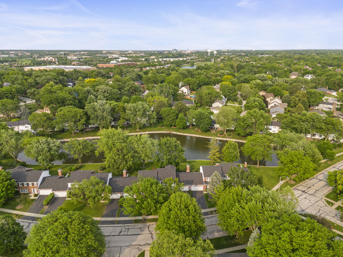 1209 West Bauer Road Naperville, IL 60563 - Photo 28 of 41