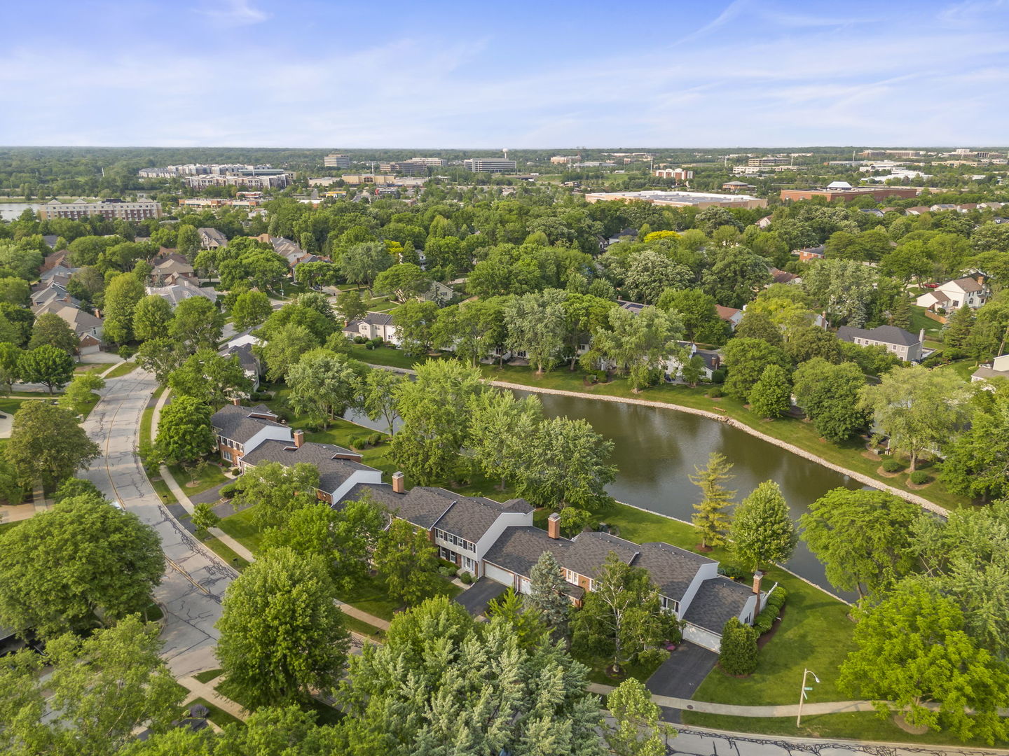 1209 West Bauer Road Naperville, IL 60563 - Photo 29 of 41