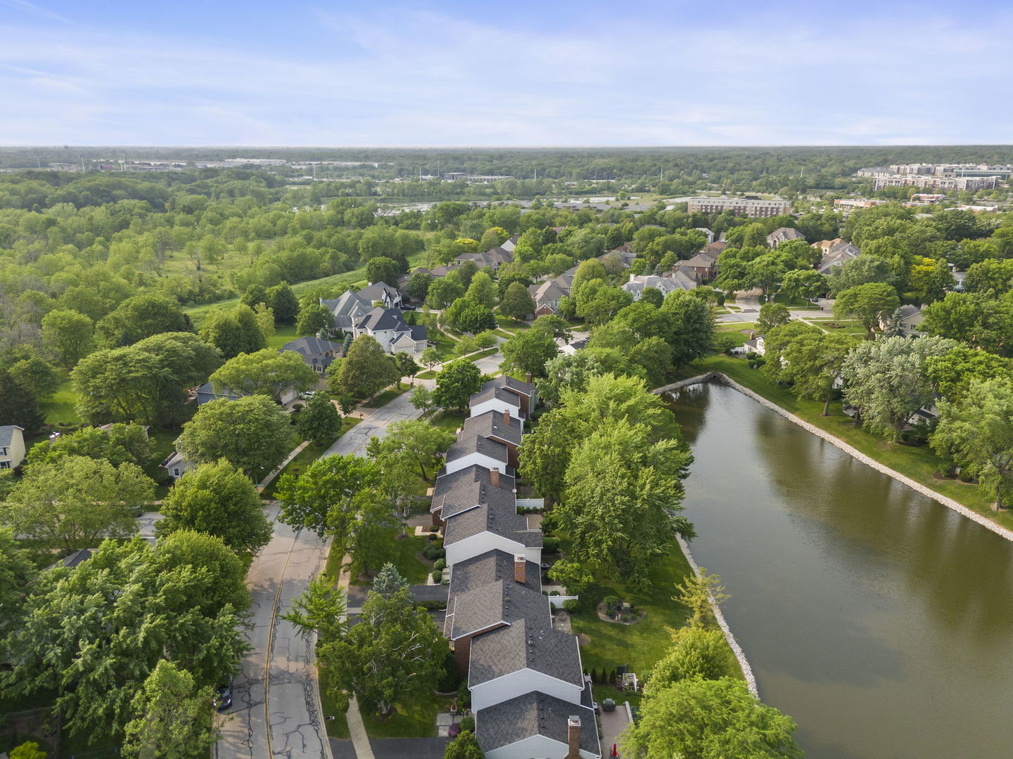 1209 West Bauer Road Naperville, IL 60563 - Photo 30 of 41