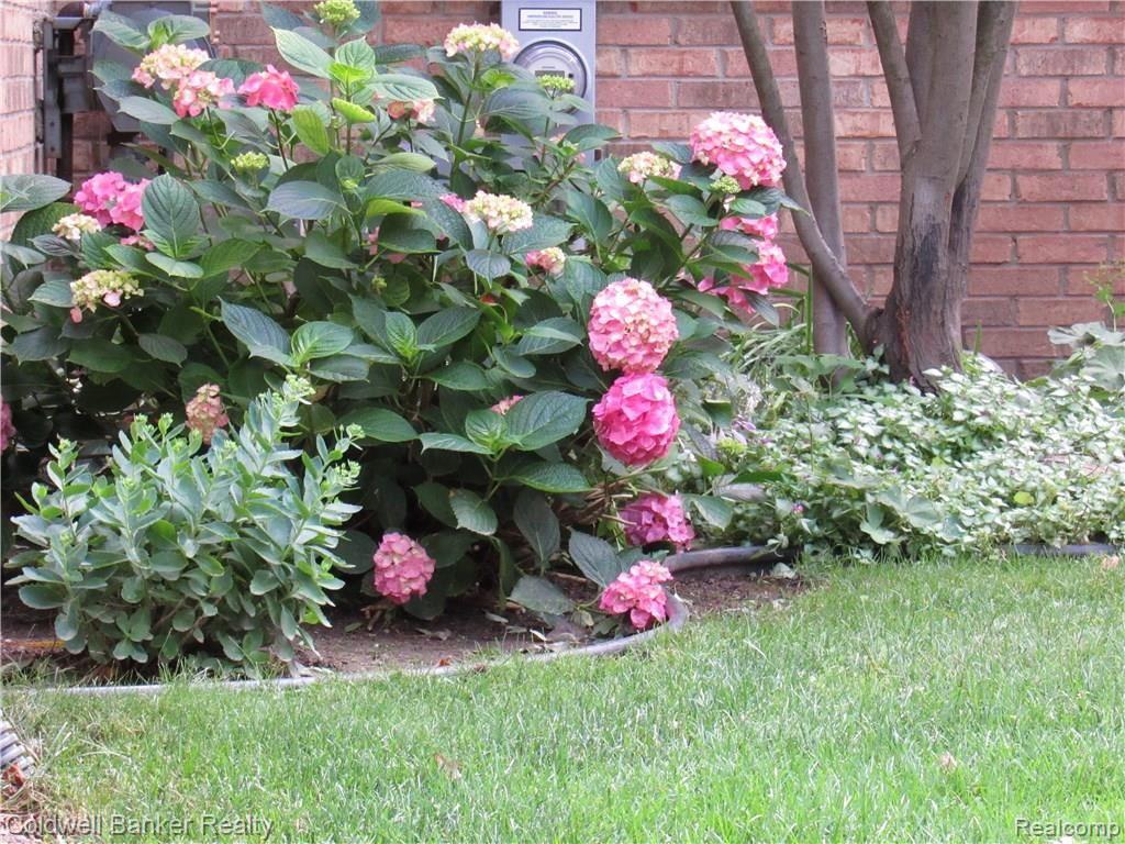 22330 River Ridge Trail Farmington Hills, MI 48335 - Photo 3 of 35