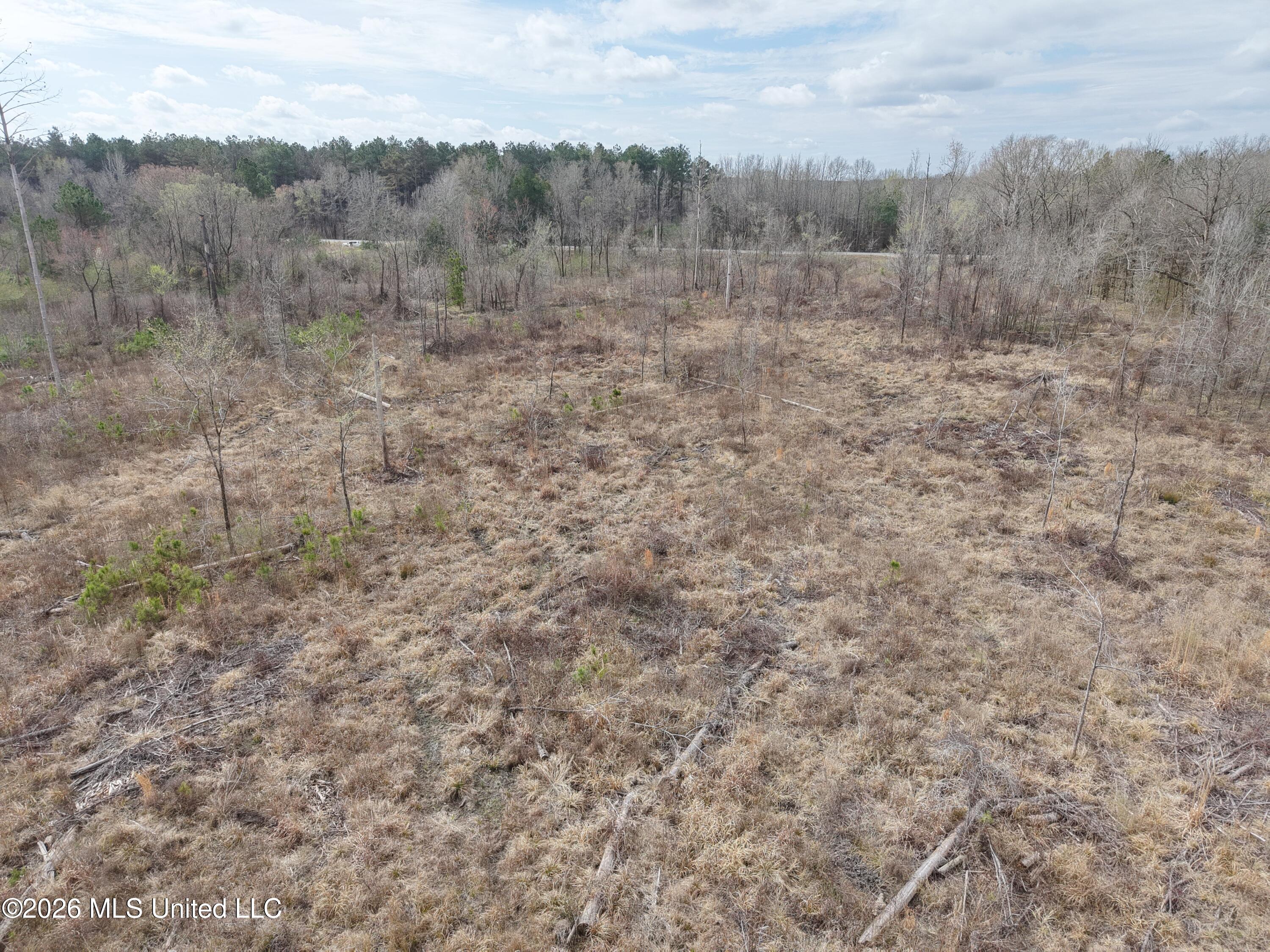 2 Reed Road Starkville, MS 39759 - Photo 2 of 12 2