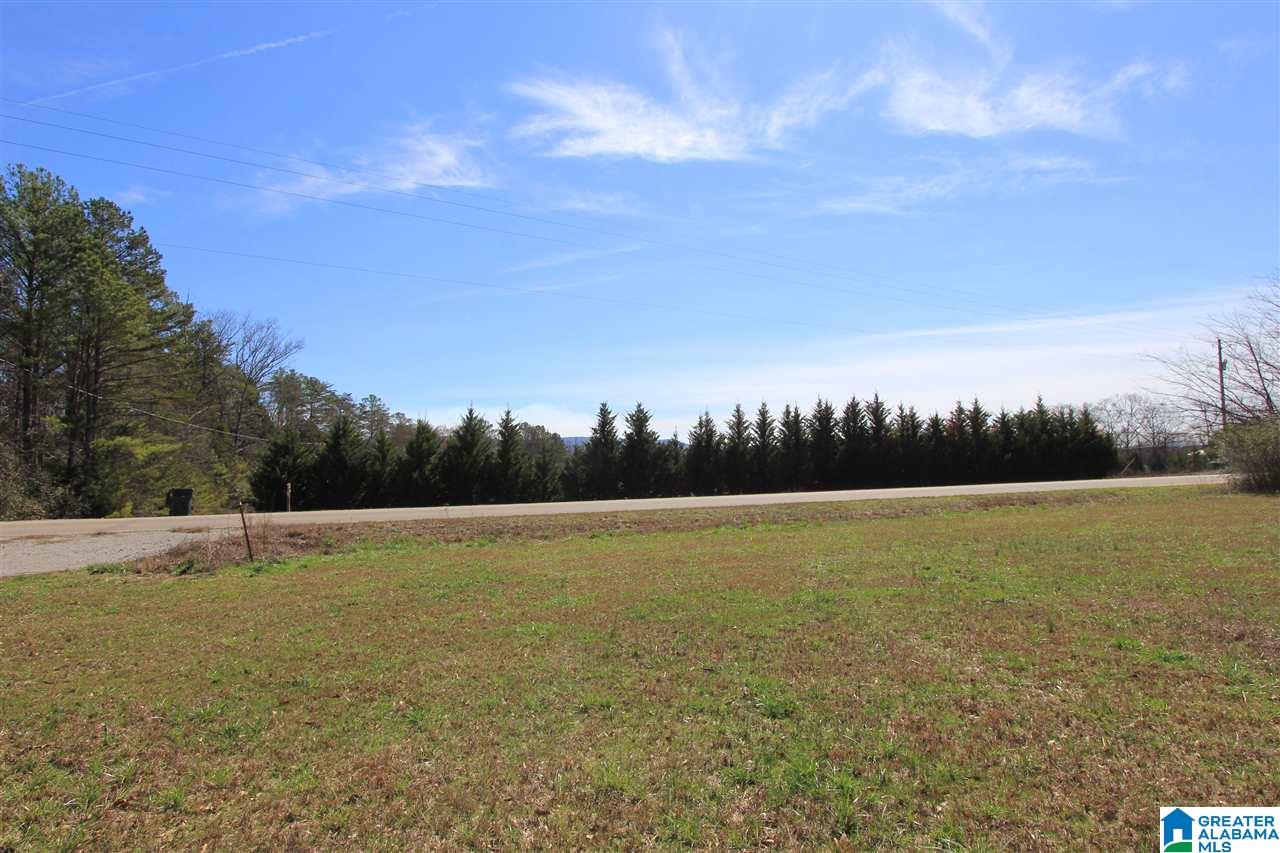 0 Rabbittown Road, Unit 14 11 Piedmont, AL 36272 - Photo 3 of 8