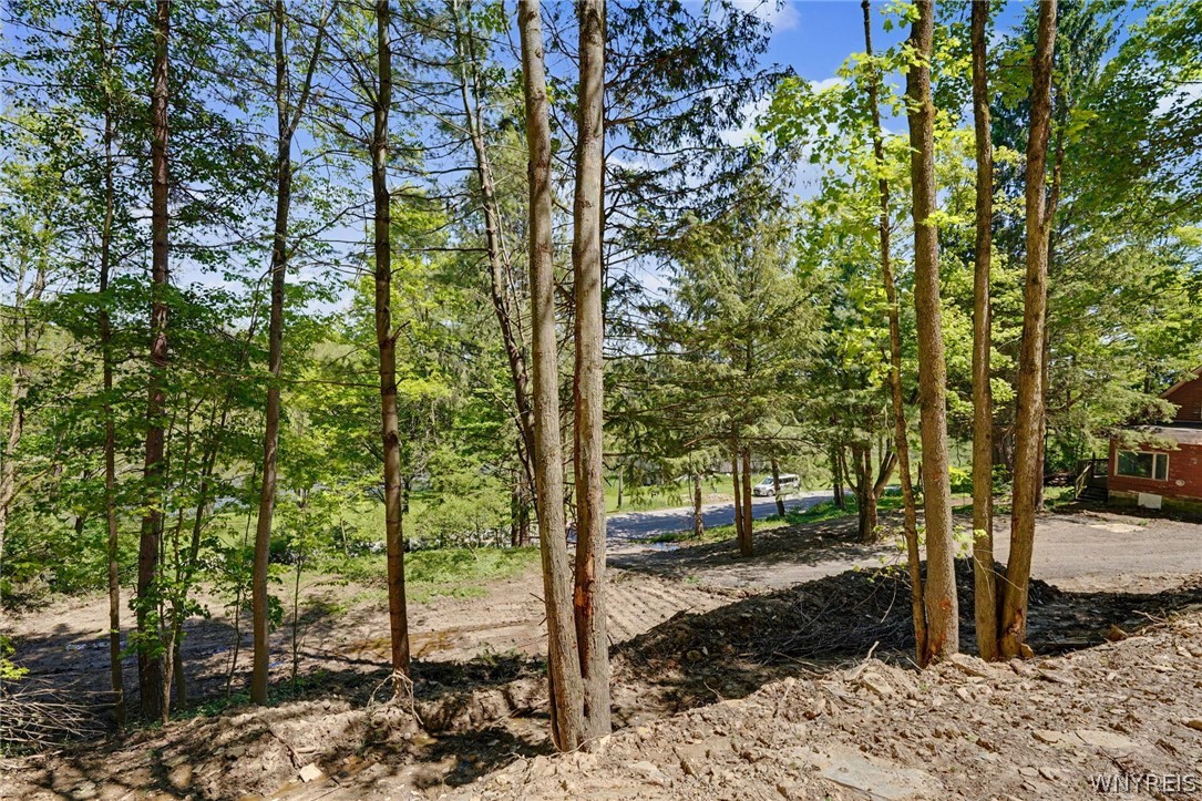 8176 Irish Road Colden, NY 14033 - Photo 32 of 41