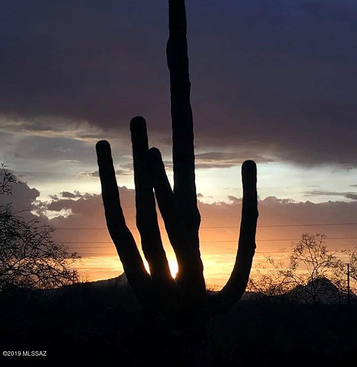 13320 West Vaqueros Road Tucson, AZ 85743 - Photo 25 of 25 Gallery Image 25