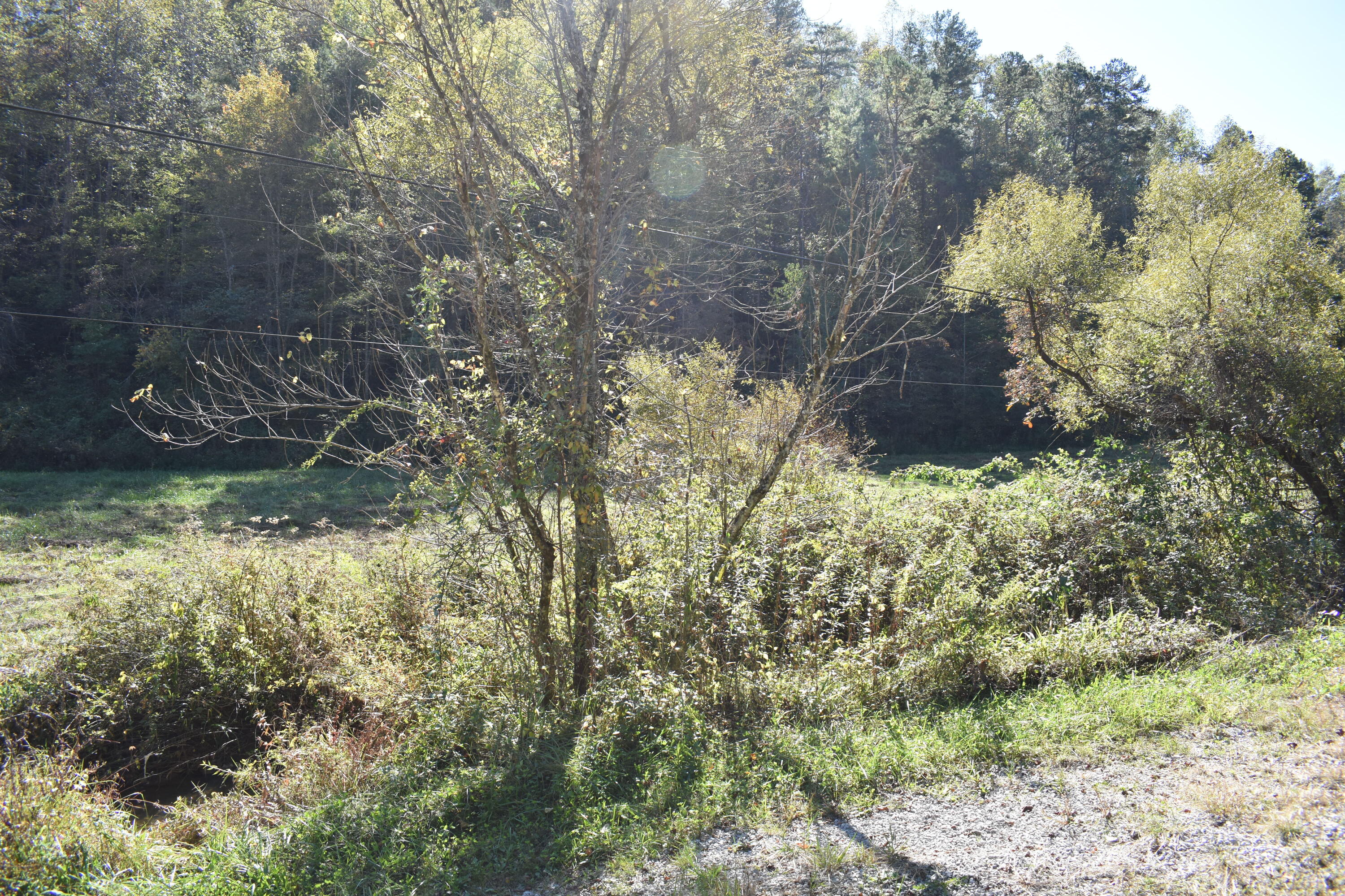 4617 Crane Creek Road Manchester, KY 40962 - Photo 4 of 53 DSC_0522