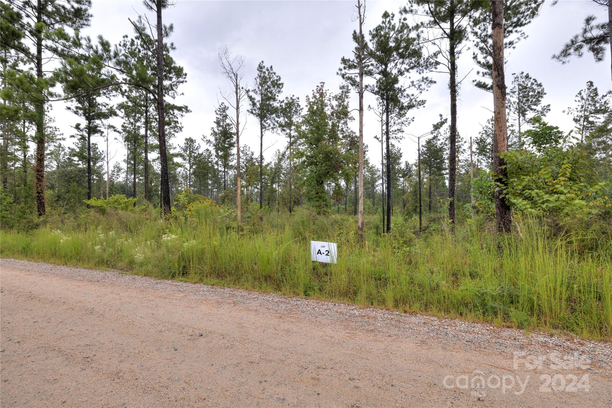 A-2 George Cook Road, Unit A2 Lancaster, SC 29720 - Photo 4 of 4 Gallery Image 4