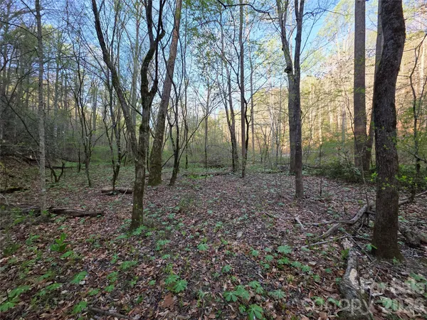 $39,000 | 0 Mountain Creek Way, Marion, NC 28752
