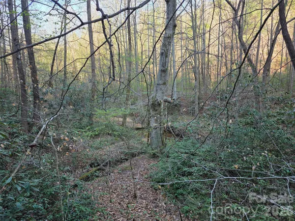 $39,000 | 0 Mountain Creek Way, Marion, NC 28752