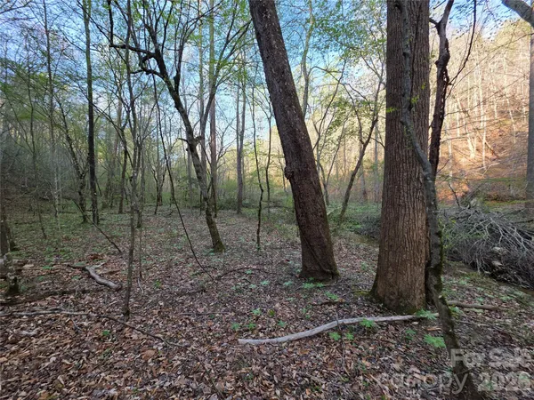 $39,000 | 0 Mountain Creek Way, Marion, NC 28752