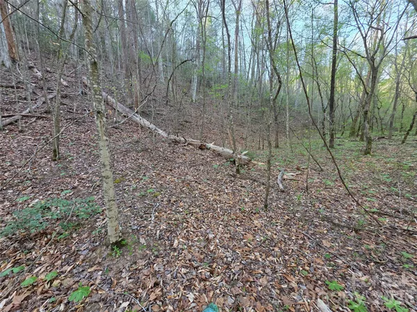$39,000 | 0 Mountain Creek Way, Marion, NC 28752