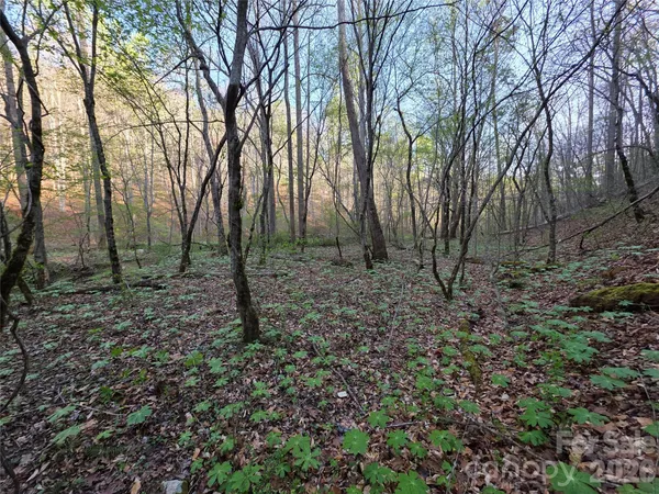$39,000 | 0 Mountain Creek Way, Marion, NC 28752
