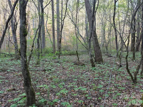 $39,000 | 0 Mountain Creek Way, Marion, NC 28752