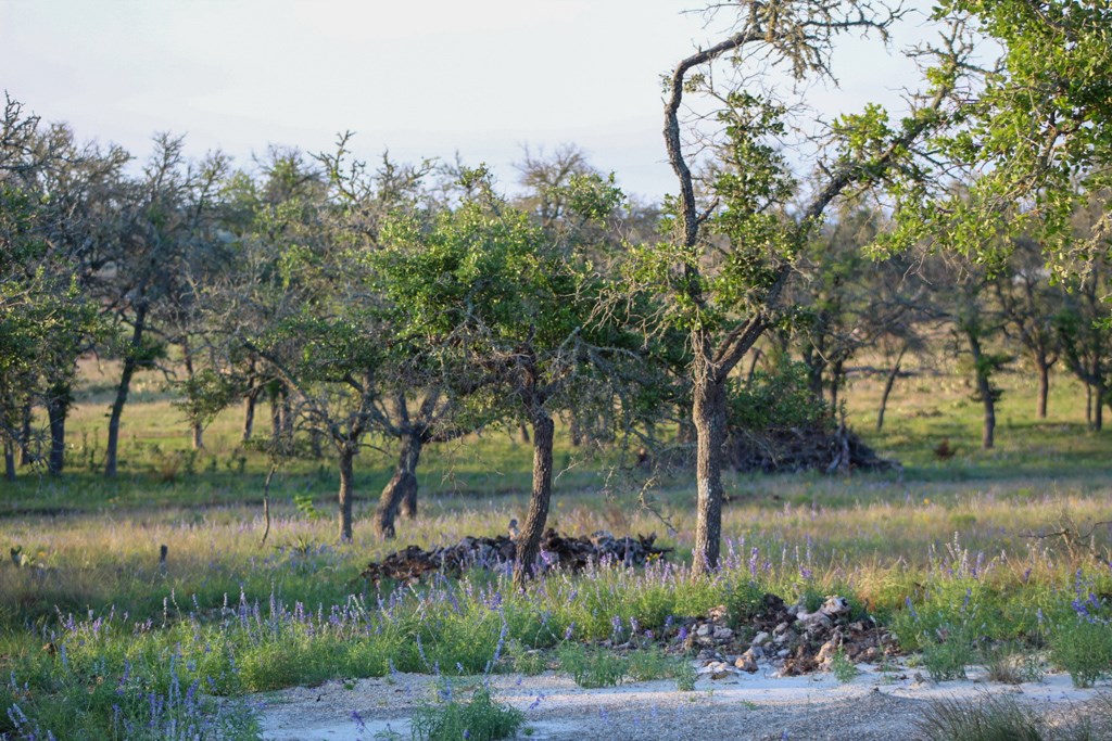 556 Juenke Ranch Road, Unit 5 Harper, TX 78631 - Photo 6 of 6 Gallery Image 6