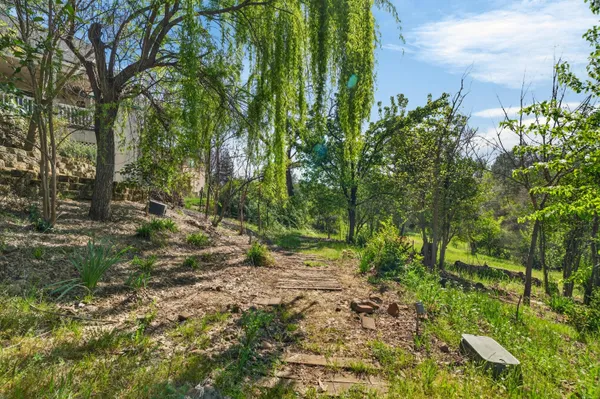 a big yard with lots of green space and deers