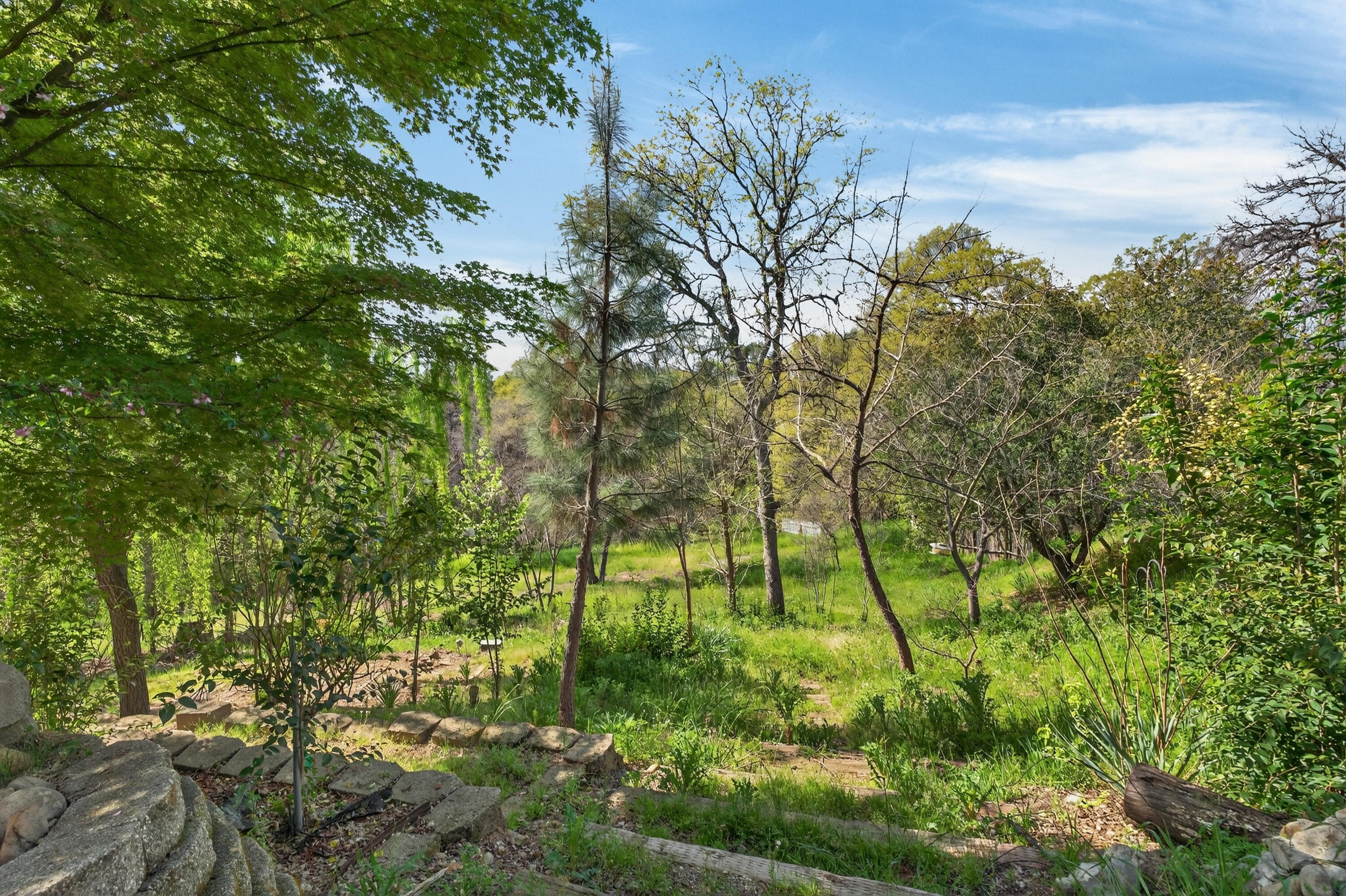 5536 Trish Court Redding, CA 96003 - Photo 41 of 43 5536 Trish Ct, Redding -05689
