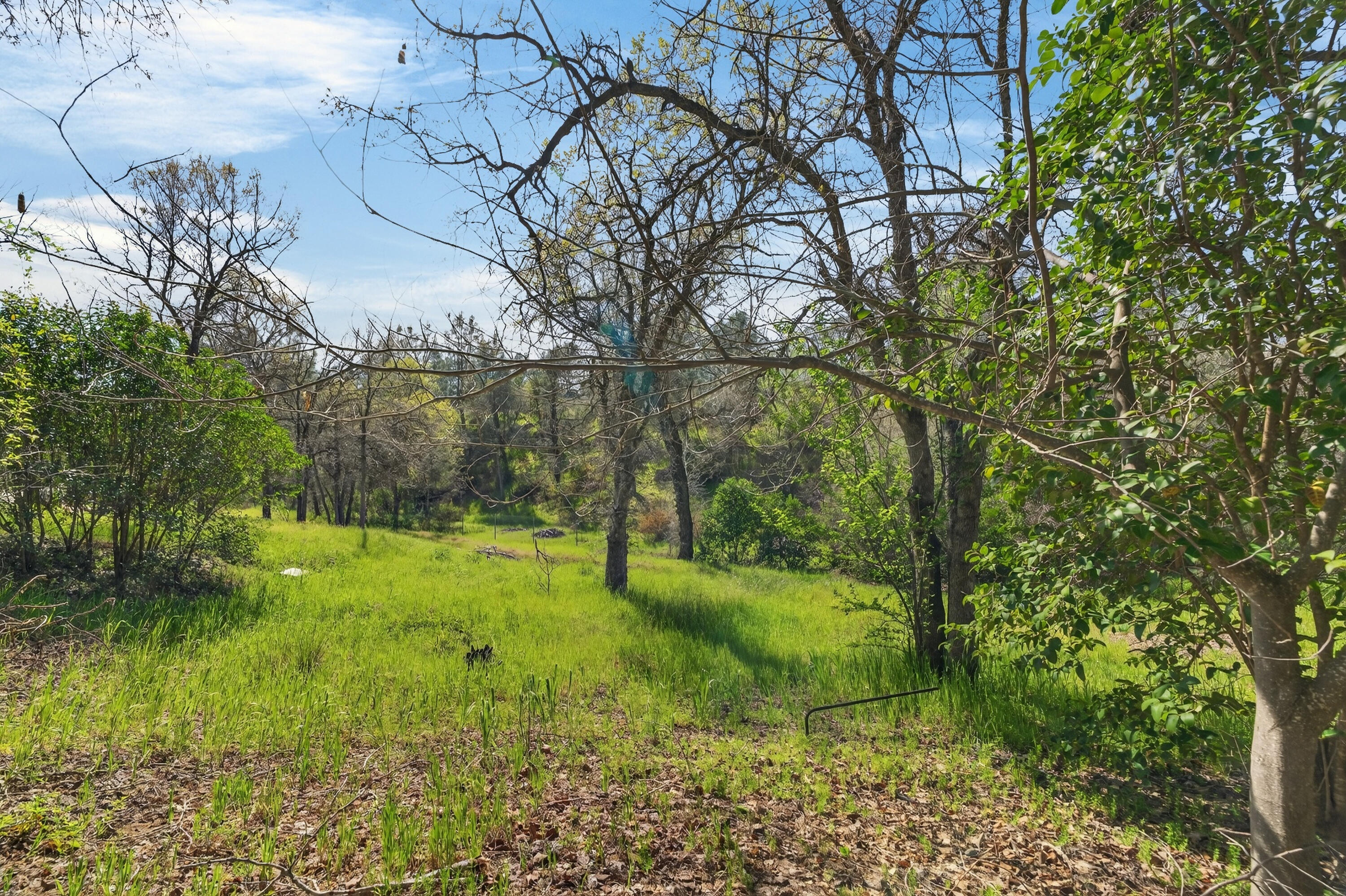 5536 Trish Court Redding, CA 96003 - Photo 42 of 43 5536 Trish Ct, Redding -05695