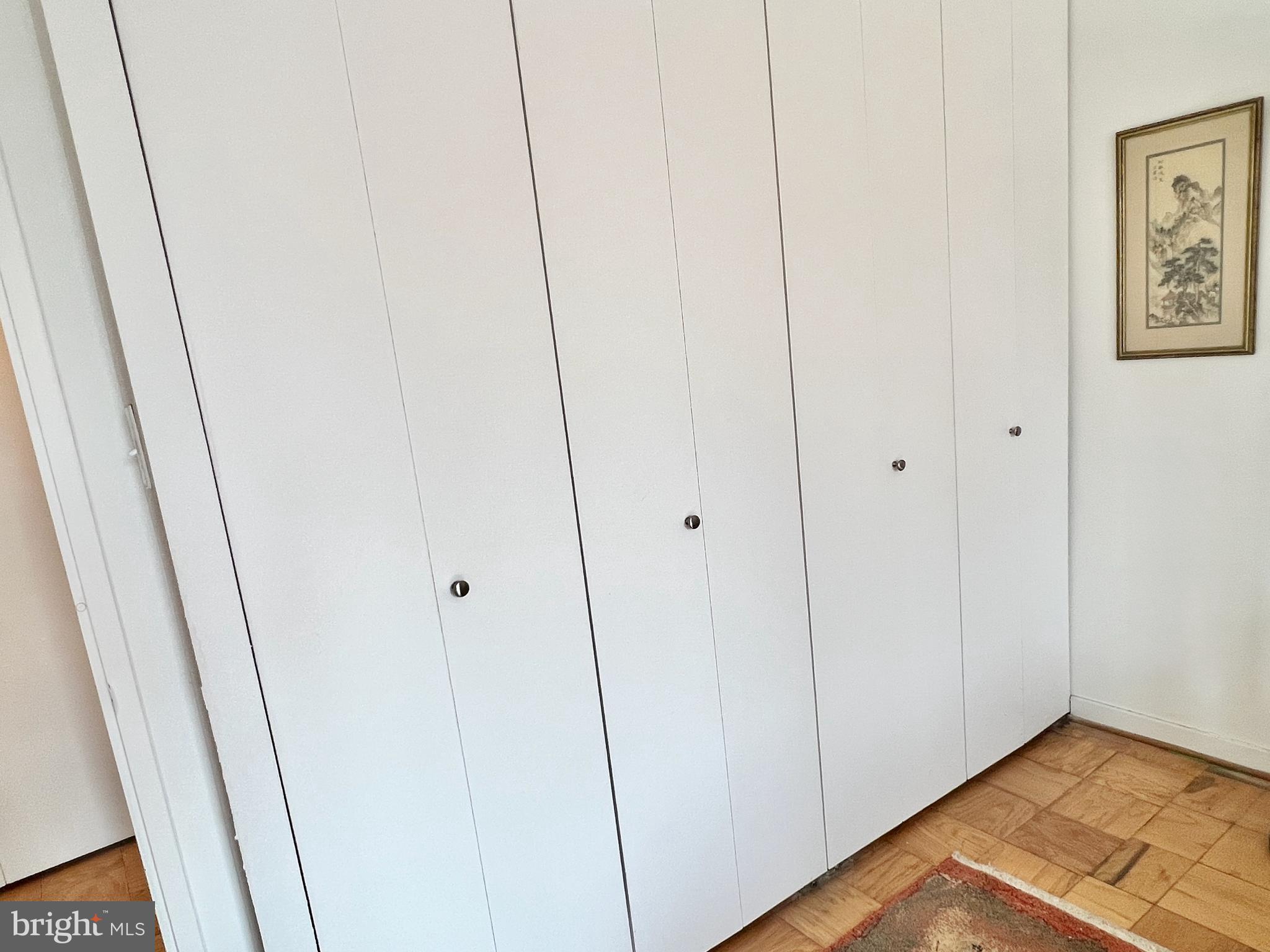 1245 4th Street Southwest, Unit E207 Washington, DC 20024 - Photo 13 of 44 Ample Closet Storage