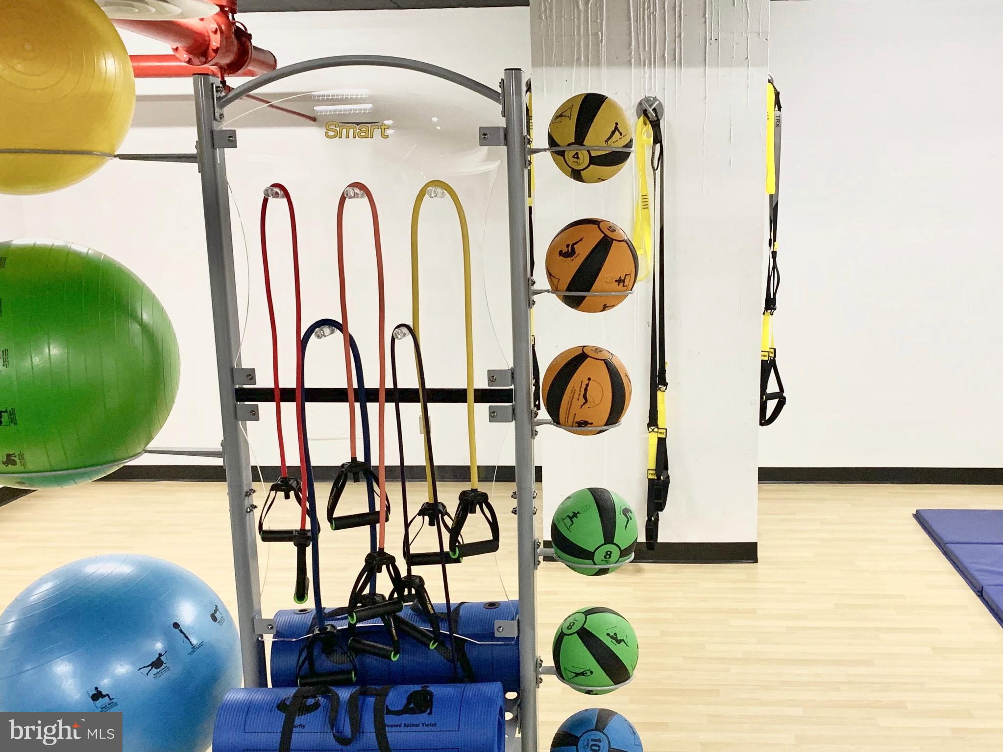 1245 4th Street Southwest, Unit E207 Washington, DC 20024 - Photo 30 of 44 Two Gyms