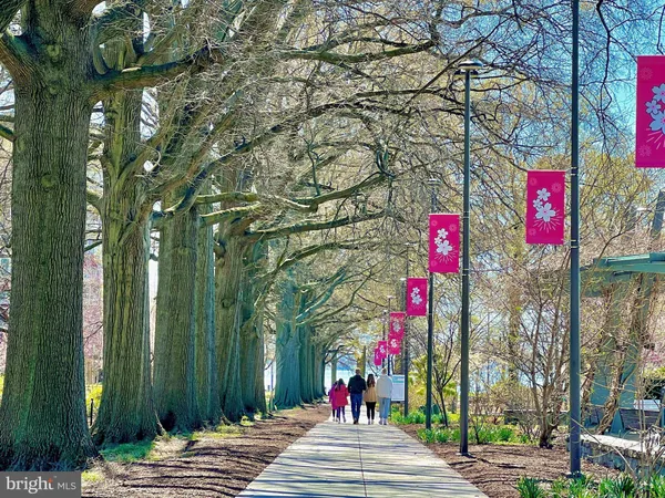 a front view of a building with street view and trees
