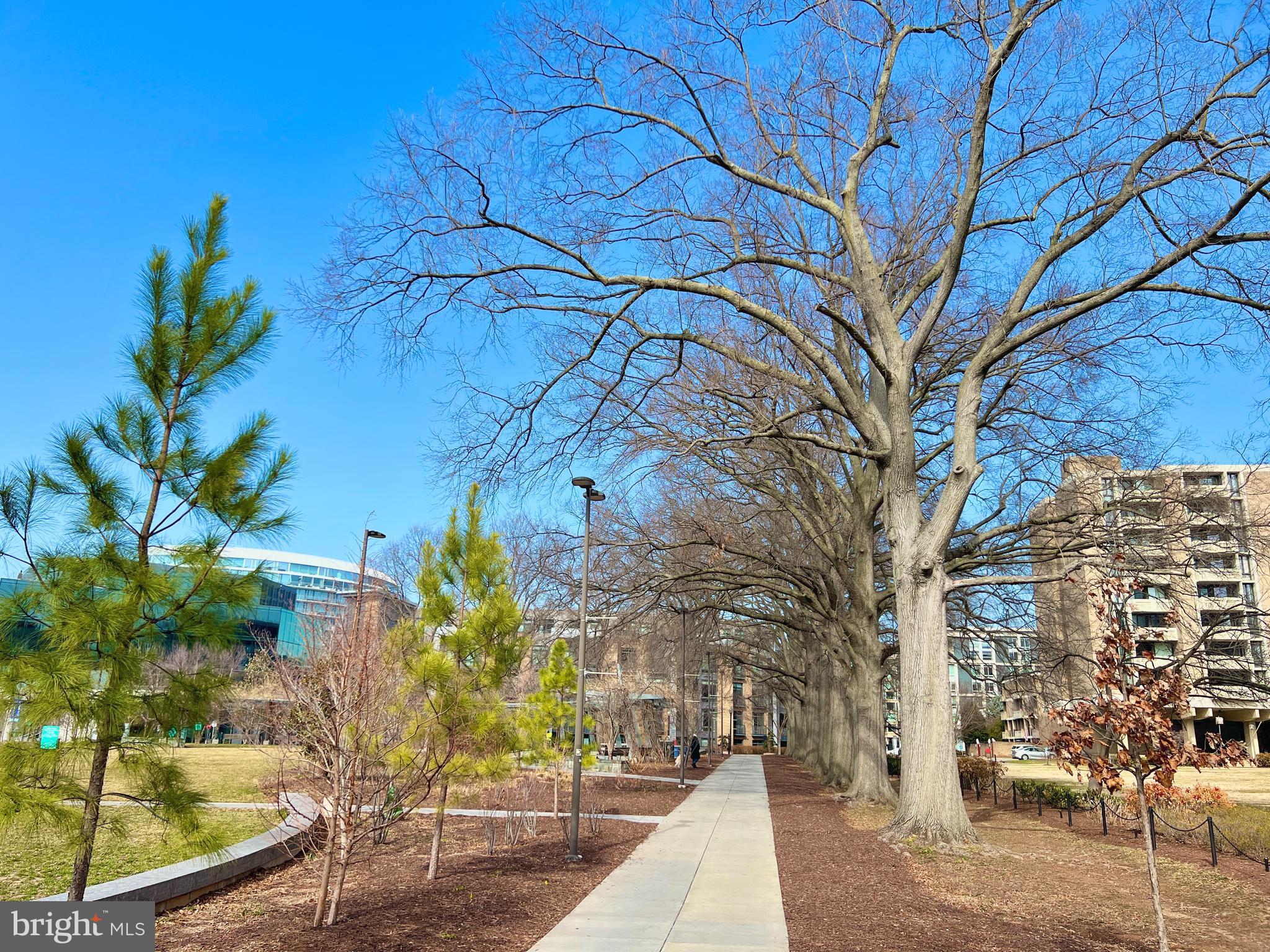 1245 4th Street Southwest, Unit E207 Washington, DC 20024 - Photo 43 of 44
