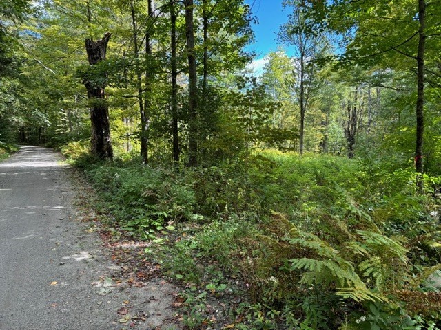 0 Brunelle Road Colrain, MA 01340 - Photo 2 of 7 a view of outdoor space and trees all around