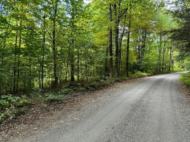 0 Brunelle Road Colrain, MA 01340 - Photo 5 of 7 a view of a forest with trees in the background