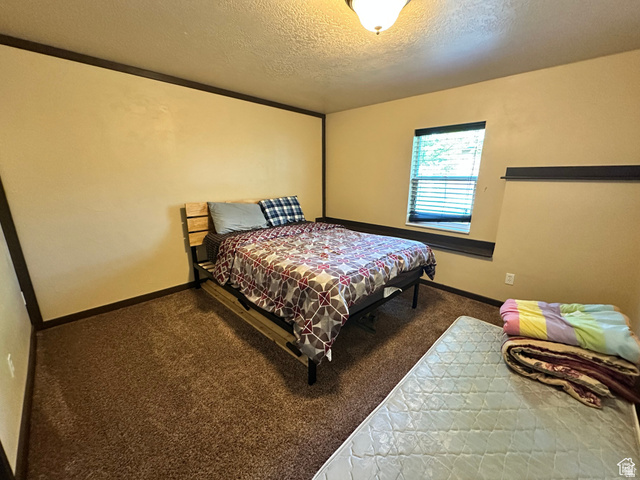 12 Crook Street Fish Haven, ID 83287 - Photo 28 of 35 Carpeted bedroom featuring a textured ceiling and baseboards