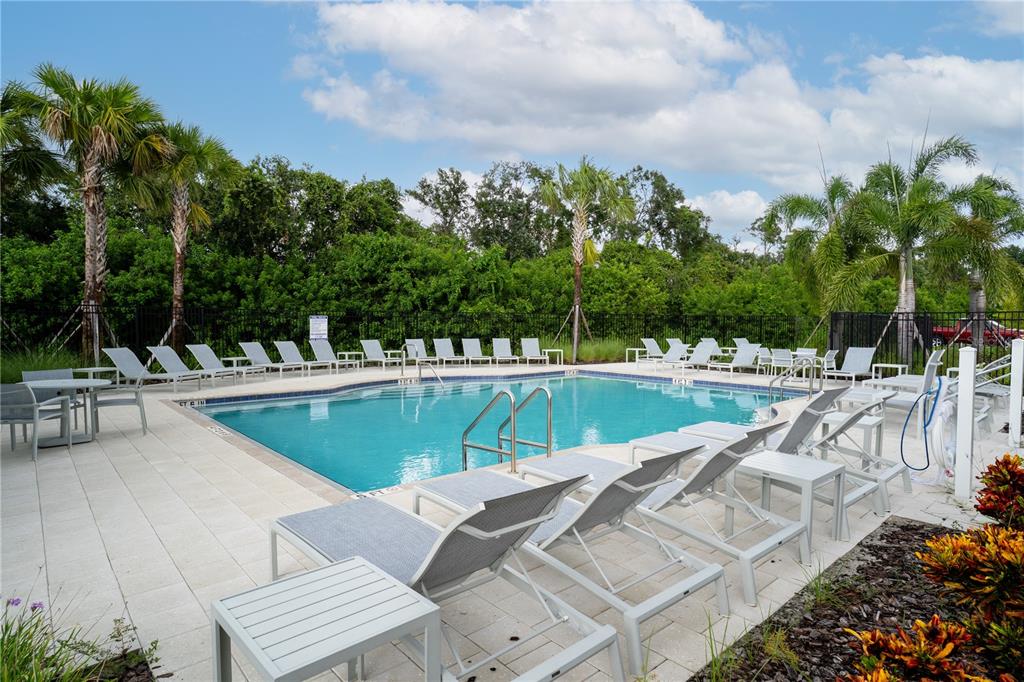 212 27th Street Southeast Ruskin, FL 33570 - Photo 46 of 46 a view of swimming pool that has lawn chairs with plants and trees